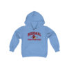 Established 2016 Youth Hoodie