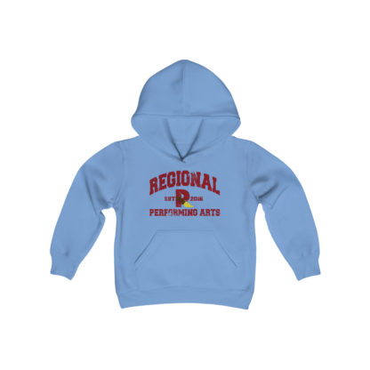 Established 2016 Youth Hoodie