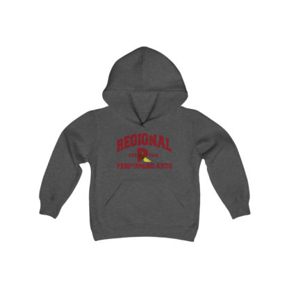 Established 2016 Youth Hoodie - Image 11