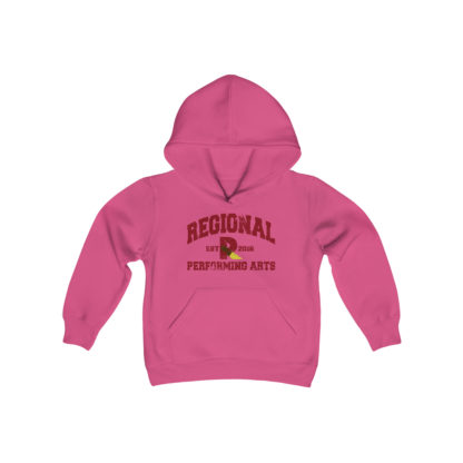 Established 2016 Youth Hoodie - Image 19