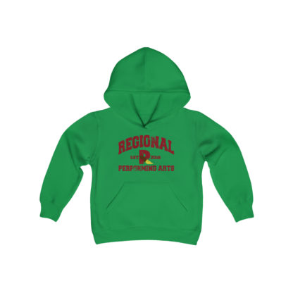 Established 2016 Youth Hoodie - Image 9