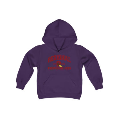 Established 2016 Youth Hoodie - Image 17