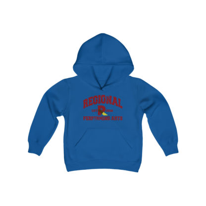 Established 2016 Youth Hoodie - Image 13