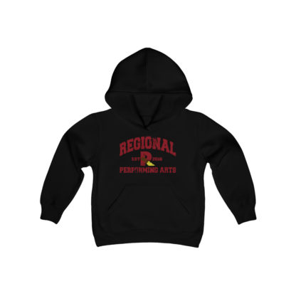 Established 2016 Youth Hoodie - Image 5
