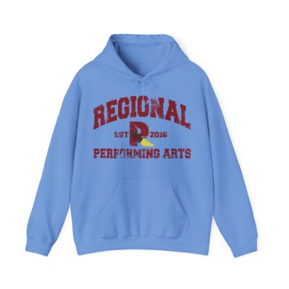 Established 2016 Hooded Sweatshirt - Image 73