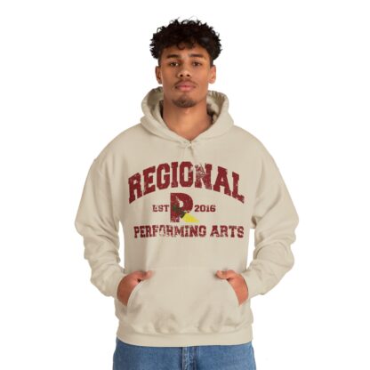 Established 2016 Hooded Sweatshirt - Image 24