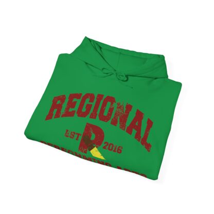 Established 2016 Hooded Sweatshirt - Image 49