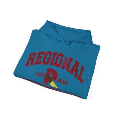 Established 2016 Hooded Sweatshirt - Image 85