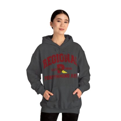 Established 2016 Hooded Sweatshirt - Image 59