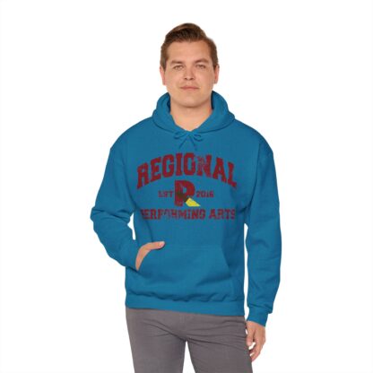 Established 2016 Hooded Sweatshirt - Image 89
