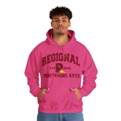 Established 2016 Hooded Sweatshirt - Image 105