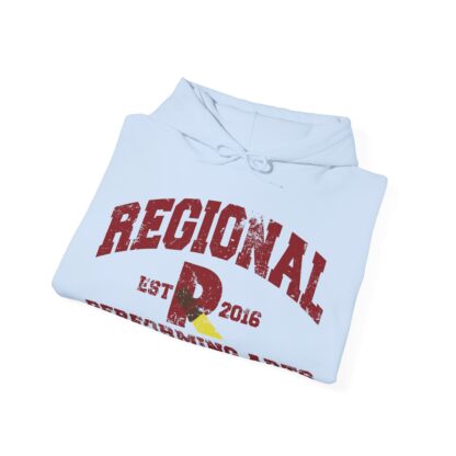 Established 2016 Hooded Sweatshirt - Image 67