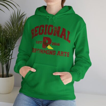 Established 2016 Hooded Sweatshirt - Image 54