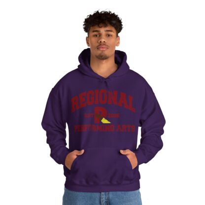 Established 2016 Hooded Sweatshirt - Image 96