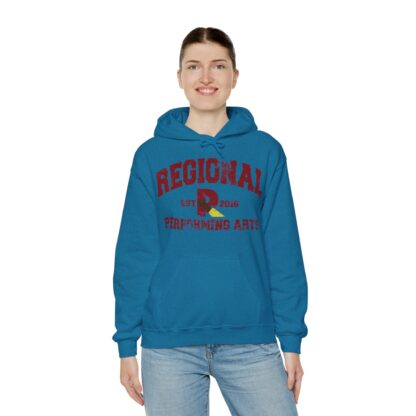 Established 2016 Hooded Sweatshirt - Image 88