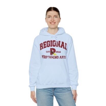 Established 2016 Hooded Sweatshirt - Image 70
