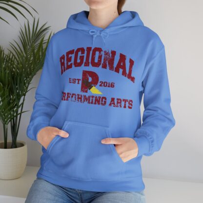 Established 2016 Hooded Sweatshirt - Image 81