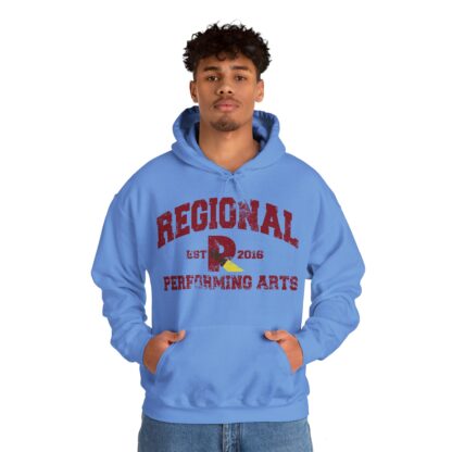 Established 2016 Hooded Sweatshirt - Image 78