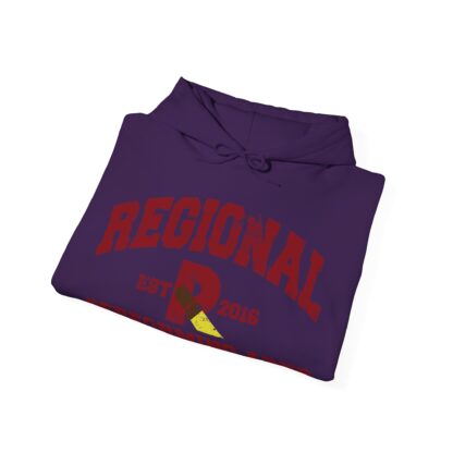 Established 2016 Hooded Sweatshirt - Image 94