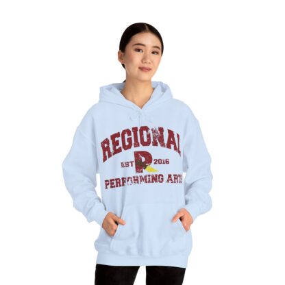 Established 2016 Hooded Sweatshirt - Image 68