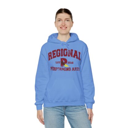 Established 2016 Hooded Sweatshirt - Image 79
