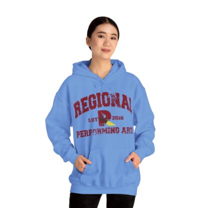 Established 2016 Hooded Sweatshirt - Image 77