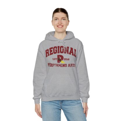Established 2016 Hooded Sweatshirt - Image 34
