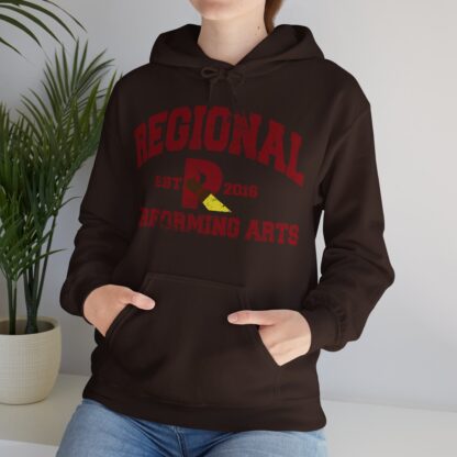 Established 2016 Hooded Sweatshirt - Image 45