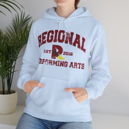 Established 2016 Hooded Sweatshirt - Image 72