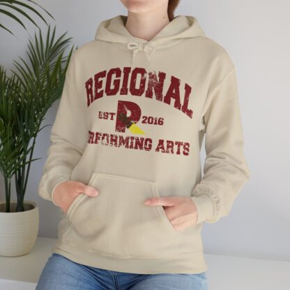 Established 2016 Hooded Sweatshirt - Image 27