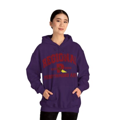 Established 2016 Hooded Sweatshirt - Image 95