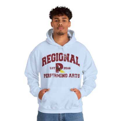 Established 2016 Hooded Sweatshirt - Image 69