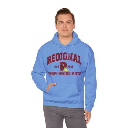 Established 2016 Hooded Sweatshirt - Image 80