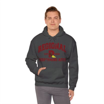 Established 2016 Hooded Sweatshirt - Image 62