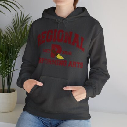 Established 2016 Hooded Sweatshirt - Image 63