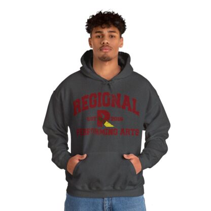 Established 2016 Hooded Sweatshirt - Image 60