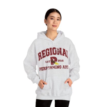 Established 2016 Hooded Sweatshirt - Image 5