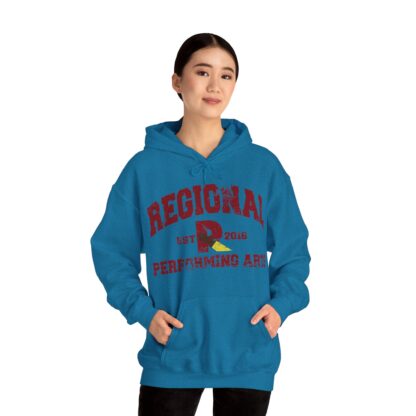 Established 2016 Hooded Sweatshirt - Image 86