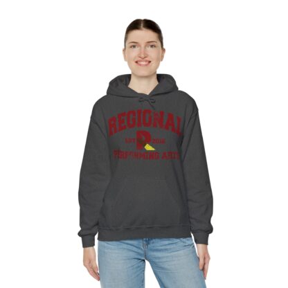 Established 2016 Hooded Sweatshirt - Image 61