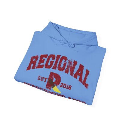 Established 2016 Hooded Sweatshirt - Image 76
