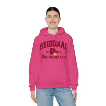 Established 2016 Hooded Sweatshirt - Image 106