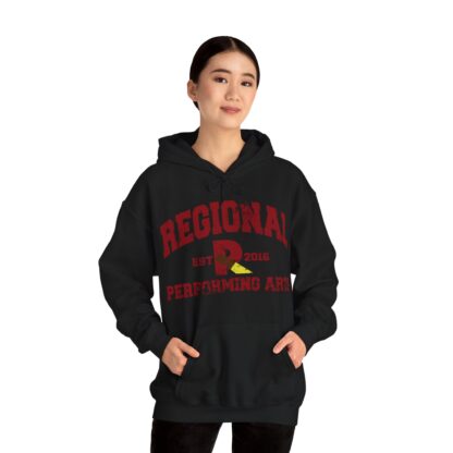 Established 2016 Hooded Sweatshirt - Image 14